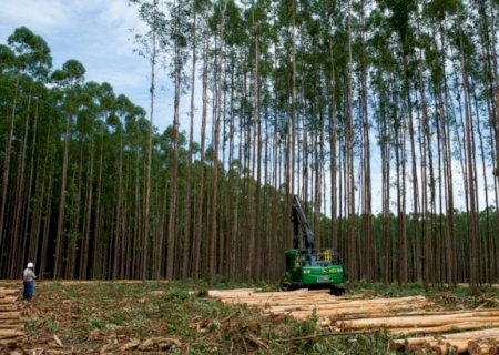 Com vagas abertas para Água Clara, fábrica de celulose realiza feirão de empregabilidade em Três Lagoas