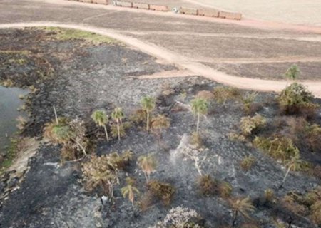 Em Nova Andradina, MP investiga incêndios em áreas plantadas com cana-de-açúcar
