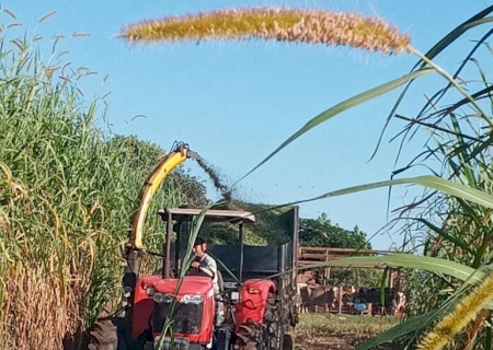 Jateí mantém apoio para agricultura familiar com presença de homens e máquinas no apoio à produção