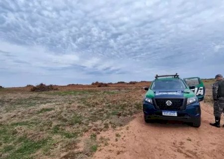 Em Jateí, fazendeiro é multado em R$ 204 mil por incendiar área após colheita de eucalipto
