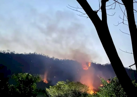 Capivara queimada pode ter provocado incêndio próximo à Serra da Bodoquena