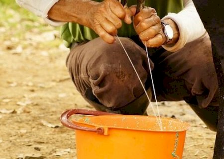 Setor leiteiro busca competitividade diante de acordo com europeus