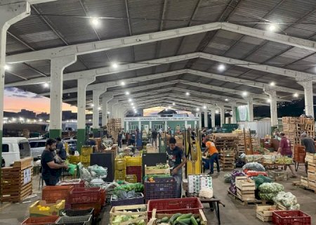 Do campo ao mercado: como o agricultor pode vender na Ceasa de Mato Grosso do Sul