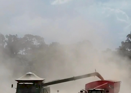 Colheita da soja atinge 27,7% e milho safrinha chega a atinge 30,5% da &aacute;rea>