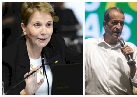 Presidente do PL quer Tereza Cristina como vice de Flávio Bolsonaro