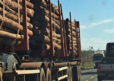 Governo afirma que aus&ecirc;ncia de ICMS n&atilde;o exclui obriga&ccedil;&atilde;o com Fundersul