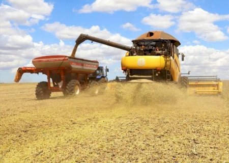 Safra de soja em Mato Grosso do Sul atinge 27,7% da colheita>
