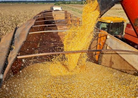 Exportação de DDG à China pode impactar mercado interno de Mato Grosso do Sul>