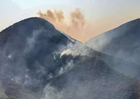 Mesmo com diminui&ccedil;&atilde;o nacional, Pantanal registra alta de 323% nas queimadas>