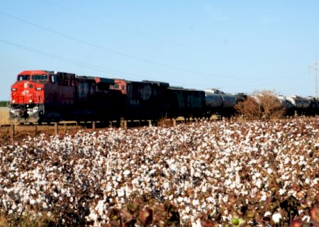 MIS reabre as portas com exposição sobre a memória da fotografia de MS>