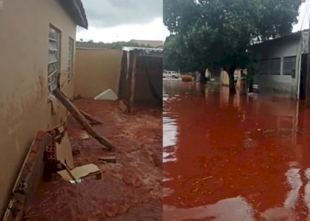 Cachorro morre afogado após chuva alagar casas em Campo Grande>