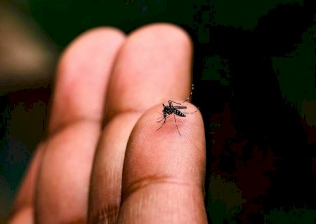 Mato Grosso do Sul registra 107 casos confirmados de dengue>