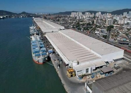 F&aacute;brica de MS exporta 5,8 milh&otilde;es de toneladas de celulose pelo Porto de Santos