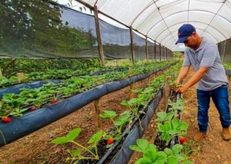 Nova regra permite mudar valor que estados e munic&iacute;pios bancam em conv&ecirc;nios>