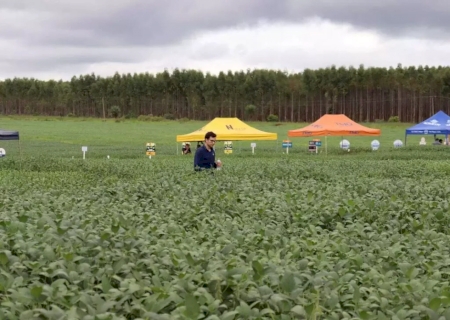 Com custos e desafio de trocar eucalipto por soja, fazenda tem dia de campo>