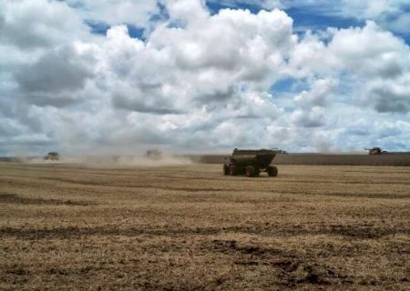 Setor rural enfrenta restri&ccedil;&otilde;es de diesel, mas sindicato nega desabastecimento