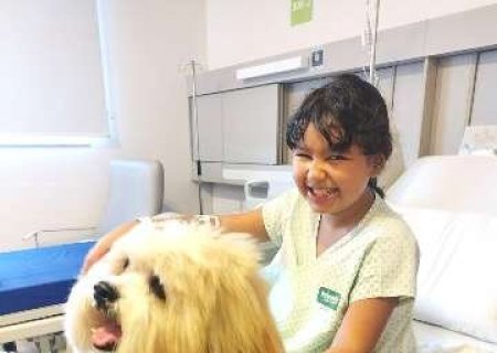 Saudade vira terapia: visita de cão emociona paciente em hospital