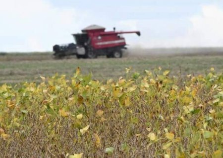 Regras do FCO barram usinas e liberam R$ 15 milh&otilde;es para m&aacute;quinas agr&iacute;colas