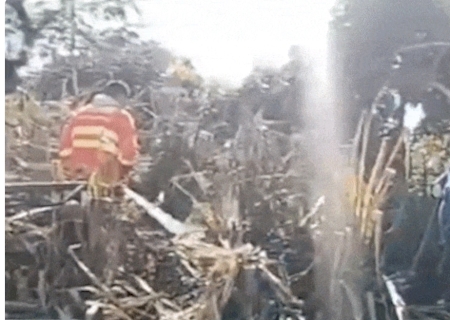 Ap&oacute;s 2 dias, bombeiros extinguem inc&ecirc;ndio na regi&atilde;o do Nabileque>