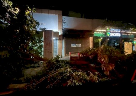 Temporal derrubou &aacute;rvores, destruiu fachada de vidro e alagou ruas em Campo Grande