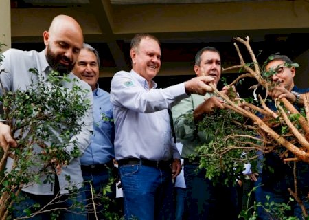 Para fortalecer cadeia produtiva da laranja, Riedel participa de remoção simbólica de murtas na Expogrande