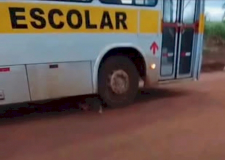 Criança de 7 anos morre atropelada na Aldeia Te’yikue, em Caarapó>