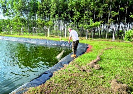 Propriedade de Glória de Dourados cria oito espécies de peixes com uso reduzido de ração>
