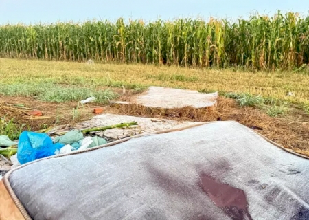 Leve geada cobre lavoura de milho e atinge 6 municípios de MS>