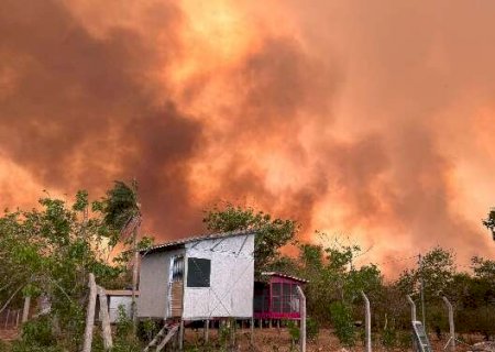 Com alerta a cada 10 minutos, toda queimada no Pantanal ser&aacute; investigada>