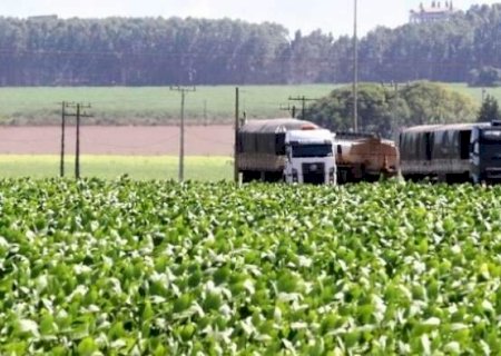 MS entra no radar do BC após economia crescer quase o dobro da média nacional>