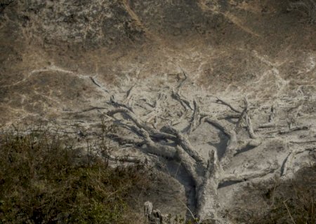 Mudanças climáticas já afetam 85% dos brasileiros, diz pesquisa