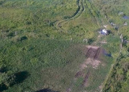 &Aacute;rea no Pantanal &eacute; desmatada e empresa agropecu&aacute;ria recebe multa de R$ 105 mil