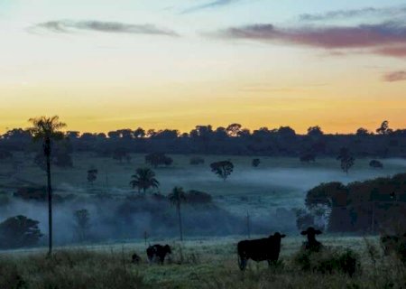 MS tem m&iacute;nima de 2&deg;C e sensa&ccedil;&atilde;o t&eacute;rmica fica em 3&deg;C em Campo Grande>