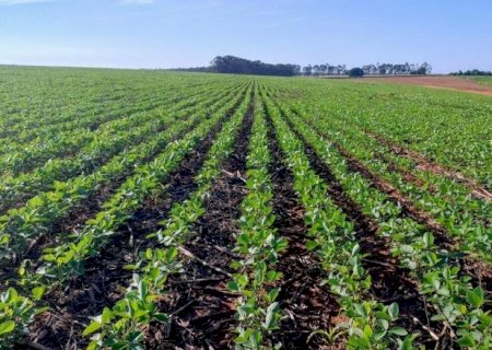 Agro prop&otilde;e ampliar Desenrola Rural e mudar recupera&ccedil;&atilde;o judicial>