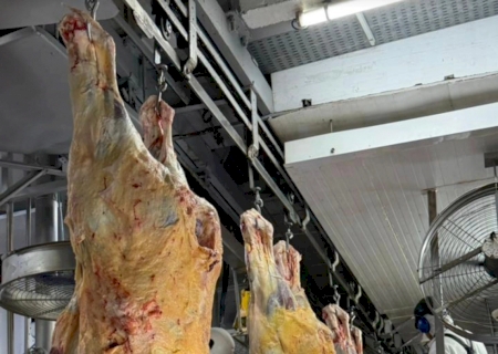 China suspende três frigoríficos brasileiros após irregularidades>