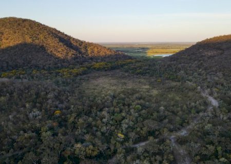 Para preservar o Pantanal, podutores rurais têm ações de conservação remuneradas por programa do Governo de MS