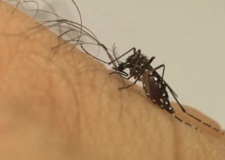 Mato Grosso do Sul registra a 22&ordf; morte por chikungunya em 2026>
