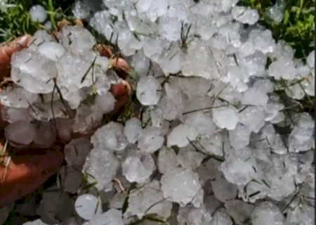 Granizo de maio causou perda de 2,1 mil hectares de milho no sul de MS>