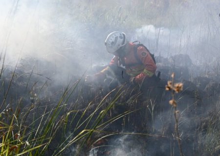Decreto de emergência ambiental reforça preparação do Governo de MS para enfrentamento a incêndios florestais>