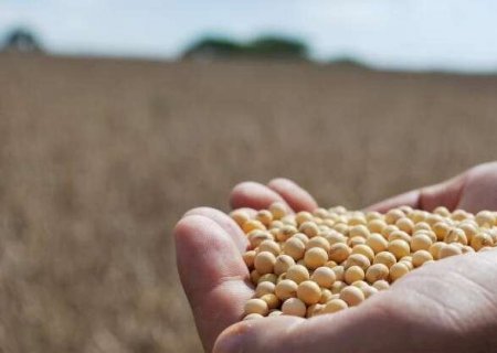 VBP de MS cresce quase 60% em 10 anos e supera R$ 84 bilhões no campo
