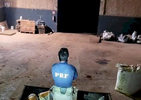 PRF apreende 4 toneladas de maconha em Ponta Porã (MS)