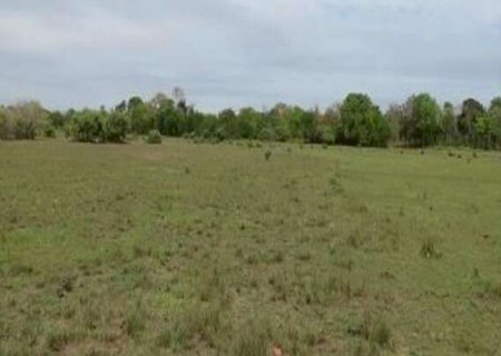 Agropecu&aacute;ria apresenta estudo para desmatar 5,9 mil hectares do Pantanal