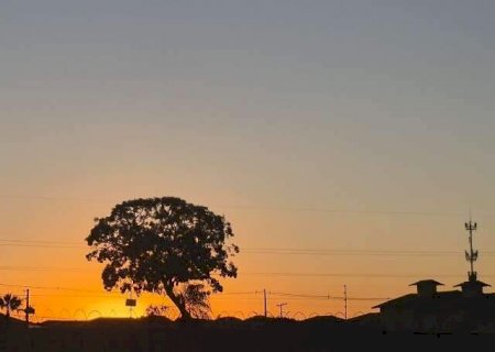 Domingo deve ter calor de até 38°C, baixa umidade e rajadas de vento em MS