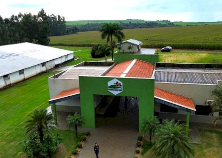 Da pesquisa à lavoura: Fundação MS transforma ciência em decisões mais seguras para o agro>