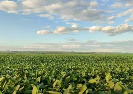 Produtores de MS terão acesso a R$ 13,4 bilhões no Plano Safra>