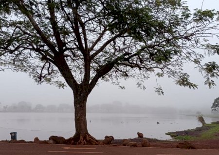 Coberta por neblina, Dourados pode ter chuva e temperatura de até 33°C neste sábado>